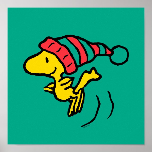 Póster Cacahuetes | Tapón de invierno de Woodstock (Frente)