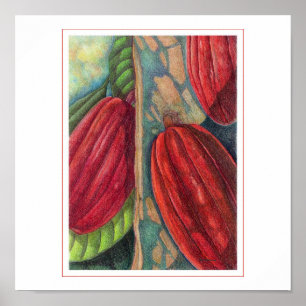 Póster Cacao Pods