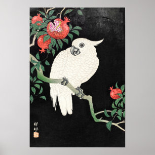 Póster Cacatúa y Granada por Ohara Koson