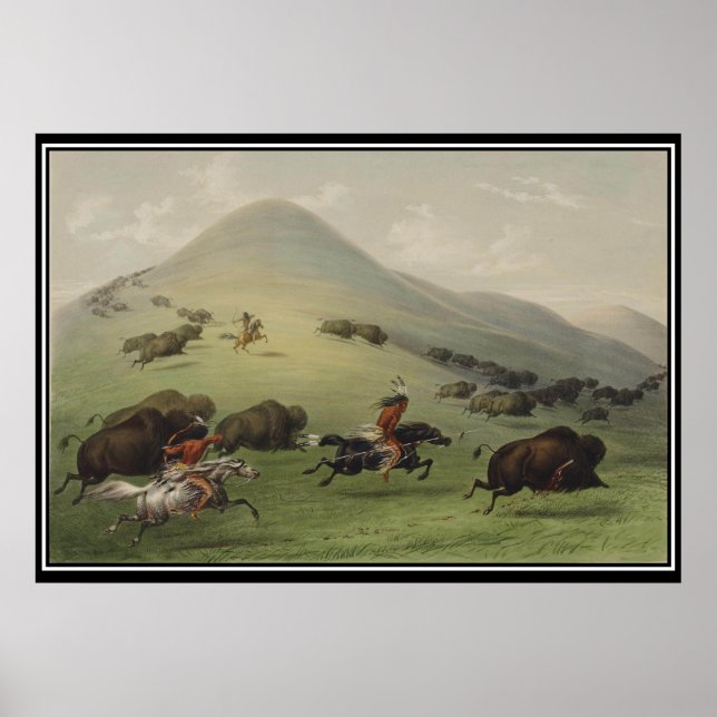 Póster Cacería de búfalos por afiche de cosecha de nativo (Frente)