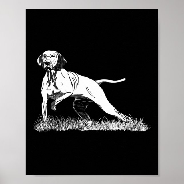 Póster Cacería De Pájaros El Puntero Vizsla Perro Para Ca (Frente)
