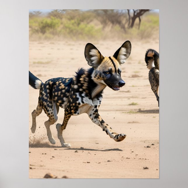 Póster Cacería salvaje de perros africanos (Frente)