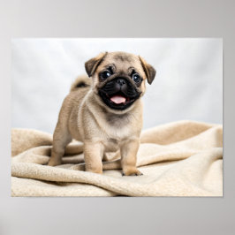 Póster Cachorro adorable de pug
