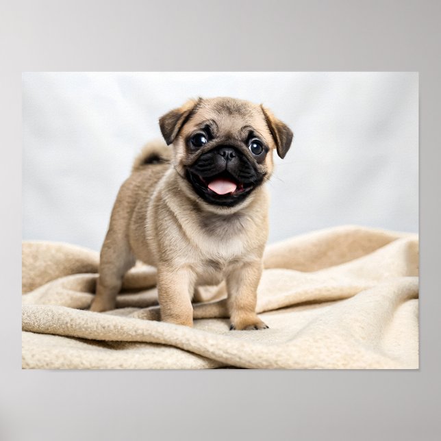Póster Cachorro adorable de pug (Frente)