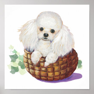 Póster Cachorro blanco en papel de cava