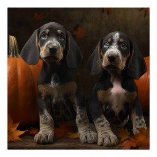 Póster Cachorro Bluetick Coonhound Otoño Delicia Calabaza