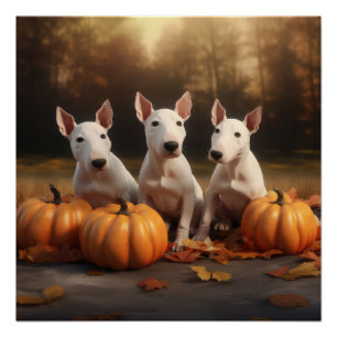 Póster Cachorro Bull Terrier Delicia de Otoño Calabaza
