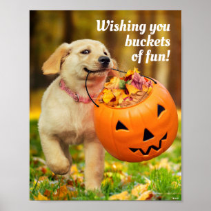 Póster Cachorro con cubo de calabaza