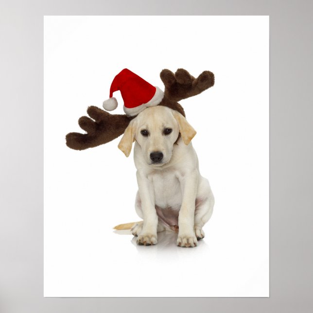 Póster Cachorro con Santa Hat y orejas renas (Frente)
