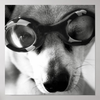 Póster cachorro de acceso rápido