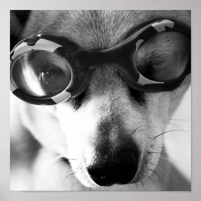 Póster cachorro de acceso rápido (Frente)