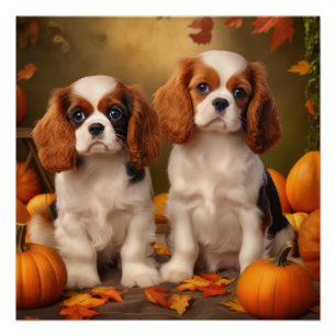 Póster Cachorro de Cavalier King Charles Spaniel Calabaza