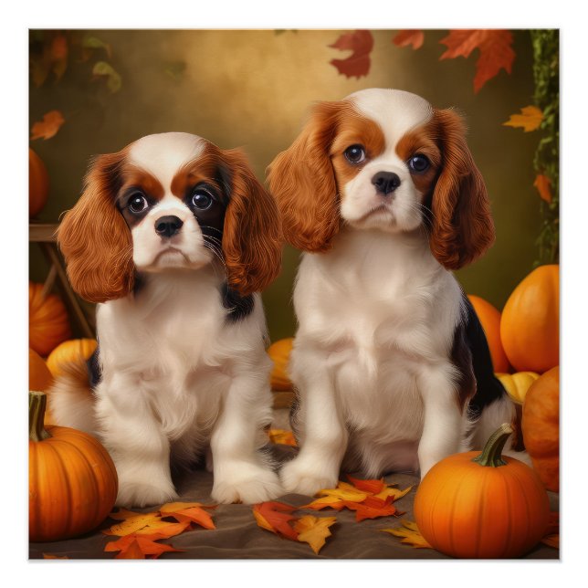 Póster Cachorro de Cavalier King Charles Spaniel Calabaza (Anverso)