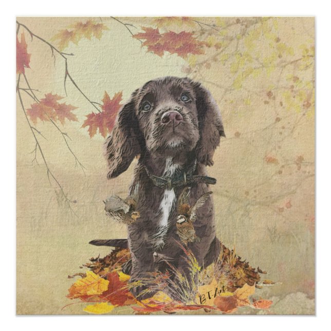 Póster Cachorro de coco de chocolate (Anverso)