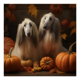 Póster Cachorro de galgo afgano Otoño Delicia Calabaza