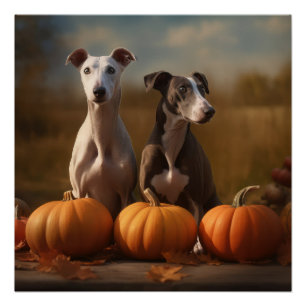 Póster Cachorro de galgo Otoño Delicia Calabaza