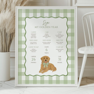 Póster Cachorro de Golden Retriever cumple 1 año Hito
