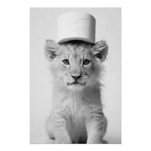 Póster Cachorro de León Divertido con Sombrero de Papel H