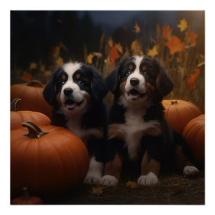 Póster Cachorro de Montaña Bernés Delicia de Otoño Calaba