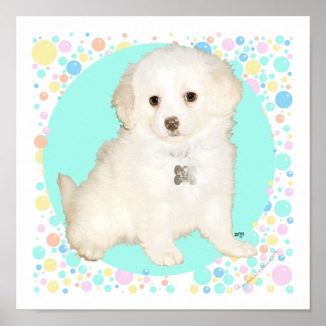 Póster Cachorro de Poodle / Bichon Mezcla Celebra la Vida (Frente)