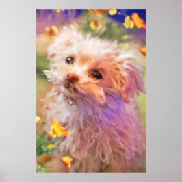 Póster Cachorro de rescate maltés 2 MIRANDO A TRAVÉS DE L