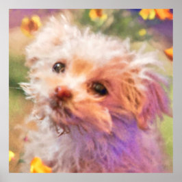 Póster Cachorro de rescate maltés 2 MIRANDO A TRAVÉS DE L