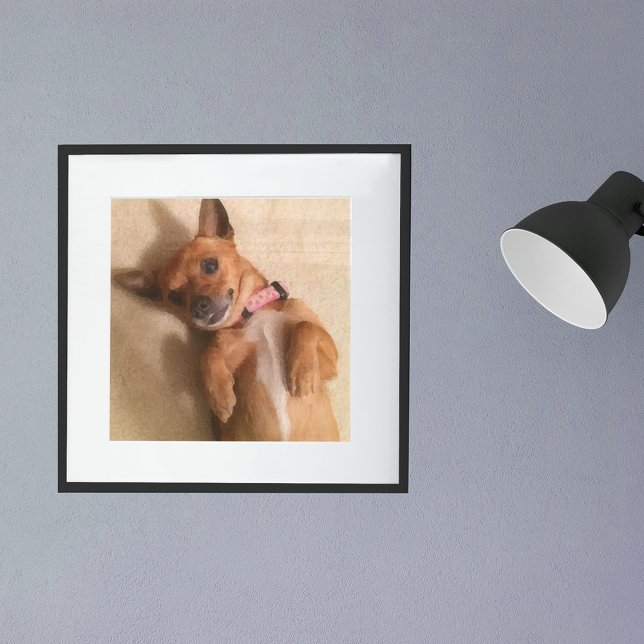 Póster Cachorro de salchicha bronceado en pose de barriga (Subido por el creador)