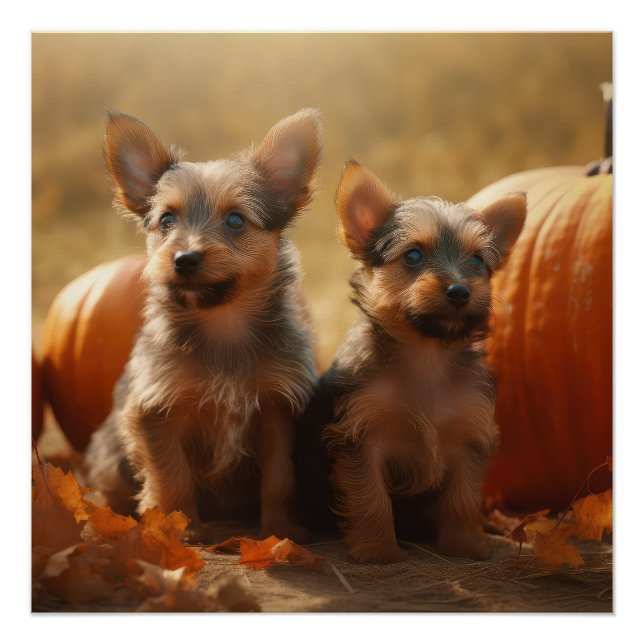 Póster Cachorro de Terrier Australiano Delicia de Otoño C (Anverso)