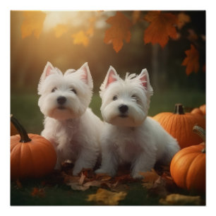Póster Cachorro de Terrier Blanco de West Highland Calaba