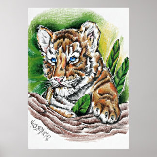 Póster Cachorro de Tigre – Ilustración a Lápiz de Colores