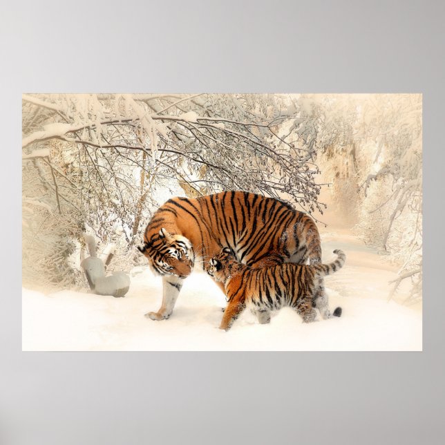 Póster cachorro de tigre y madre en poster de nieve (Frente)