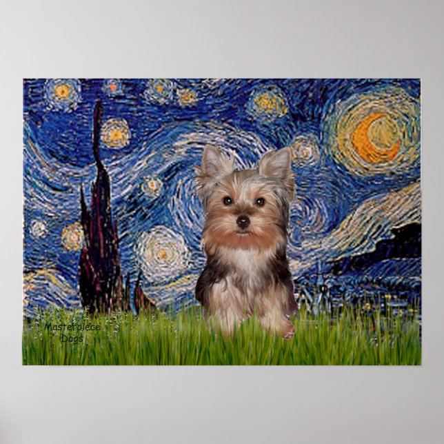 Póster Cachorro de Yorkshire Terrier - Noche estrellada (Frente)