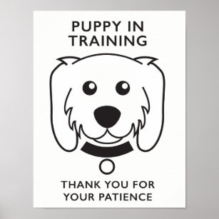 Póster Cachorro en el Rótulo de entrenamiento