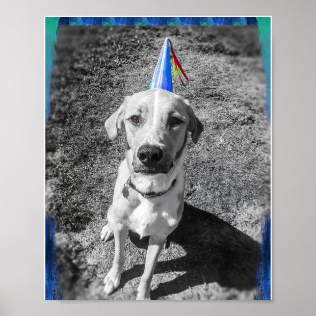 Póster Cachorro en Gorra de cumpleaños (Frente)