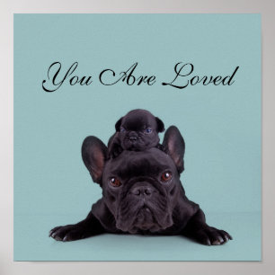 Póster Cachorro En La Cabeza De Su Madre