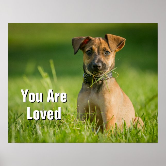 Póster Cachorro en la hierba (Frente)