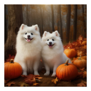 Póster Cachorro Eskimo Americano Otoño Delicia Calabaza