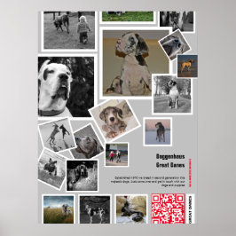 Póster Cachorro gigante de Gran Danés a la venta