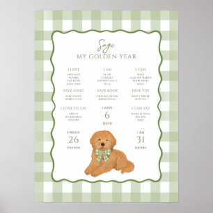 Póster Cachorro Goldendoodle cumpleaños 1er hito
