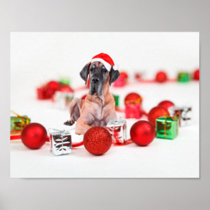 Póster Cachorro Gran Danés Lindo Sombrero De Santa De Nav