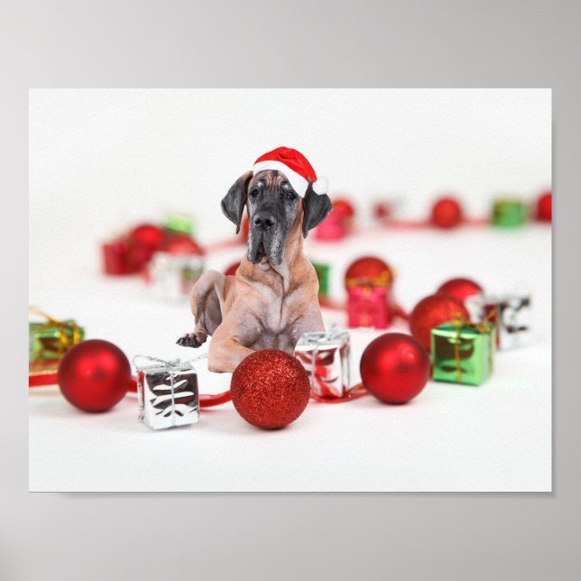 Póster Cachorro Gran Danés Lindo Sombrero De Santa De Nav (Frente)