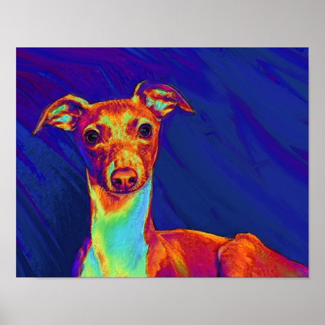 Póster cachorro grisónico de italia (Frente)