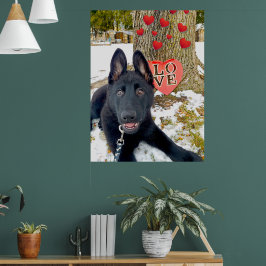 Póster Cachorro GSD negro con Corazones y Gran Amor San V