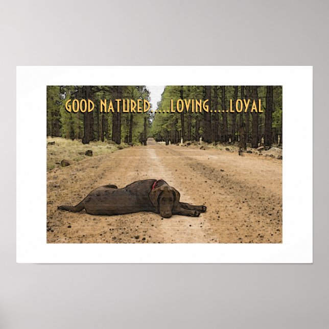 Póster Cachorro Labrador Chocolate en Sendero Forestal Pe (Frente)