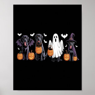Póster Cachorro Labrador Negro Adorable Calabaza de Hallo