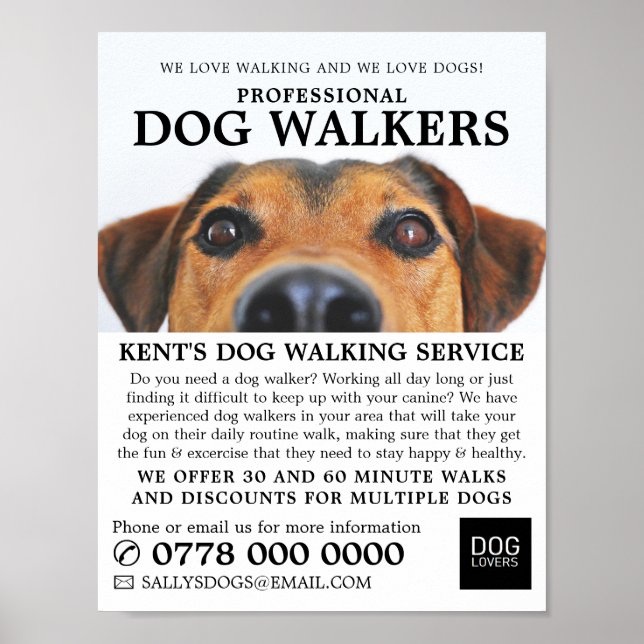 Póster Cachorro Lindo, Servicio de Paseo de Perros Public (Frente)