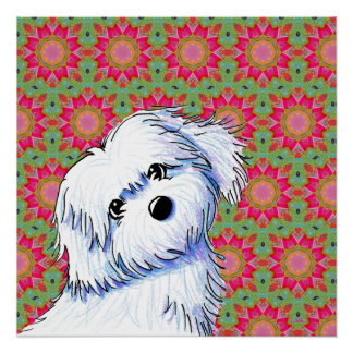 Póster Cachorro Maltés adorable 