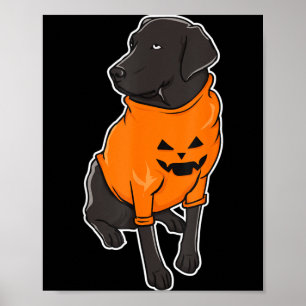 Póster Cachorro Mestizo Labrador Negro Calabaza de Hallow