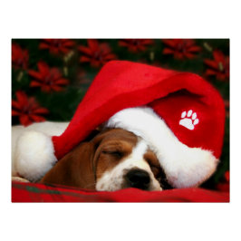 Póster Cachorro pacífico