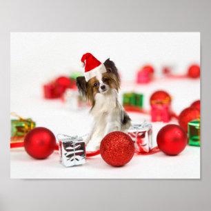 Póster Cachorro Papillon Lindo Sombrero de Santa de Navid